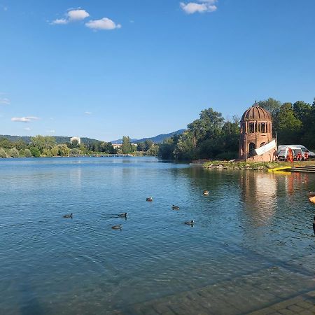 Ferienwohnung Am Seepark Friburgo em Brisgóvia Exterior foto