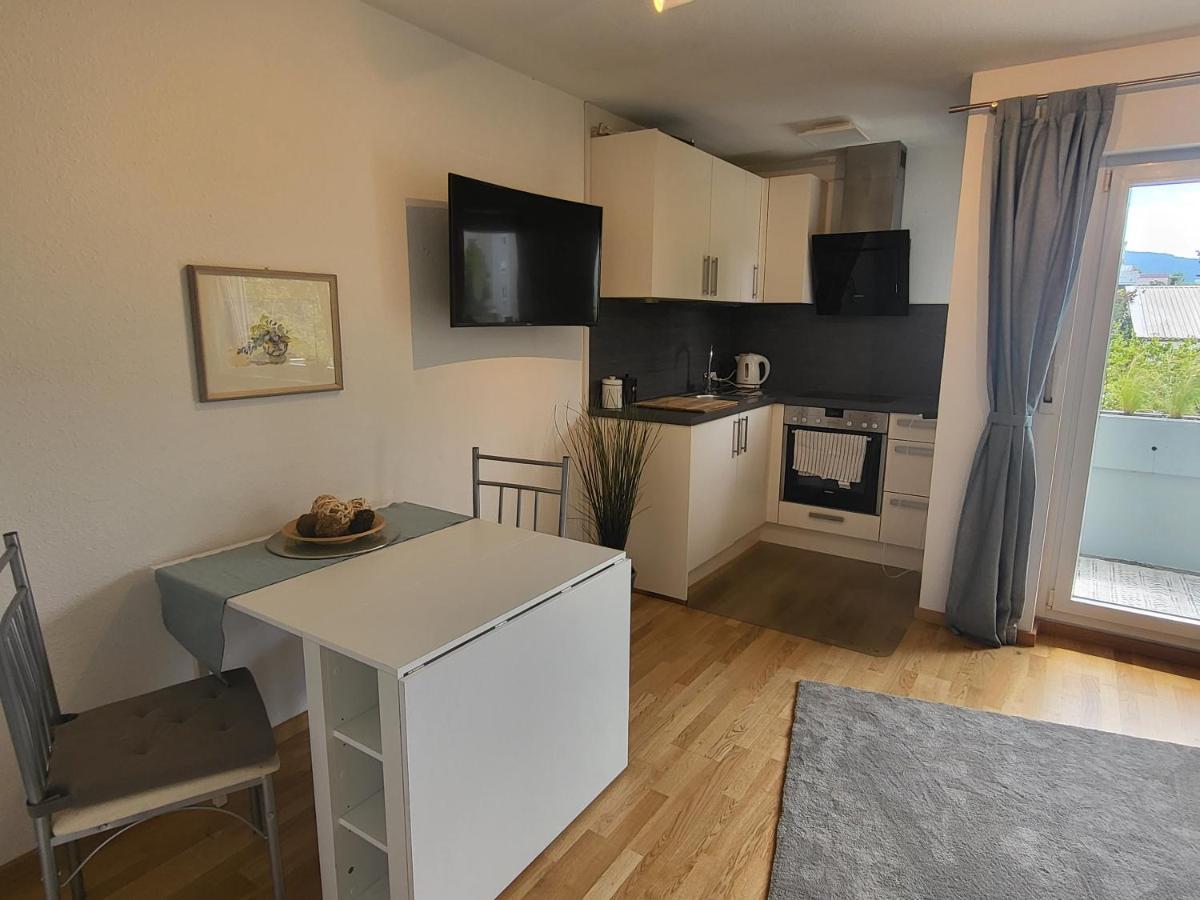 Ferienwohnung Am Seepark Friburgo em Brisgóvia Exterior foto