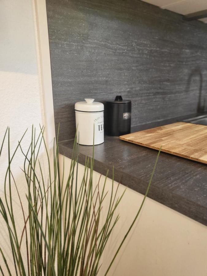 Ferienwohnung Am Seepark Friburgo em Brisgóvia Exterior foto