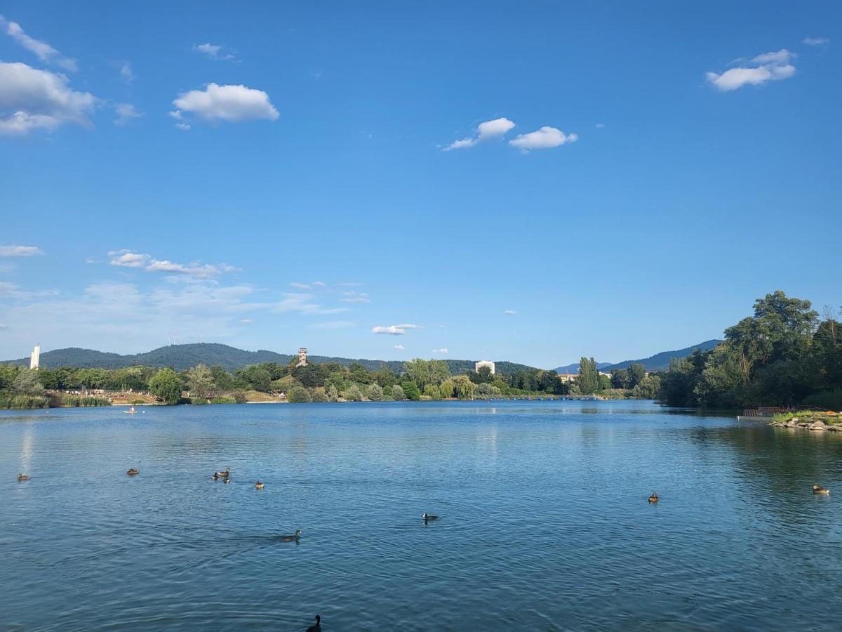 Ferienwohnung Am Seepark Friburgo em Brisgóvia Exterior foto